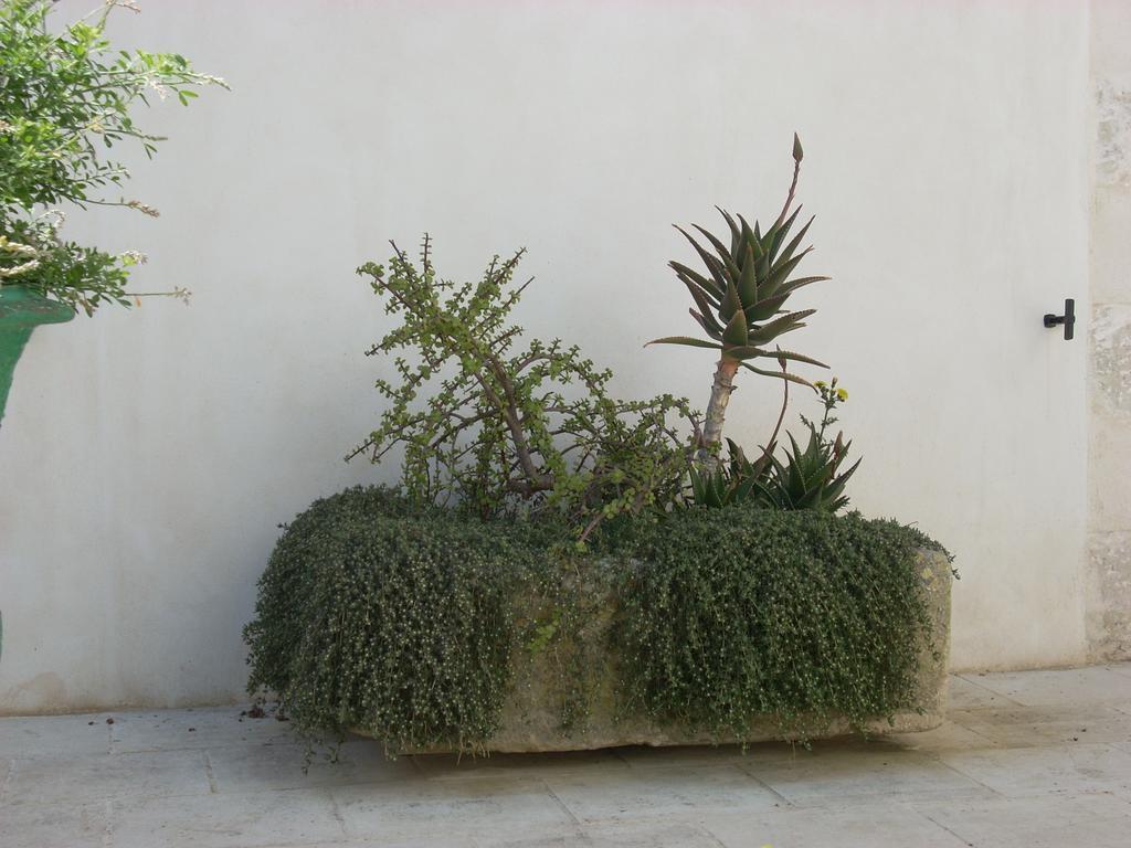 B&B Le Due Corti Martignano Exterior photo